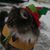 Mio Ishida's profile image