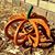 Jerry M Wilson's profile image