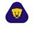 Ricardo Yanez Gallardo's profile image