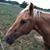 Terri Donahue Donahue's profile image