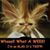 Dee Ann Brooks's profile image