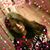 Susan Kay's profile image