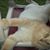 Chris Mader's profile image