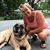 Cindy Davis's profile image