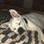 Jerry Clapp's profile image