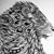 Cuchoo Torres's profile image