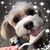 Janet Sperry's profile image