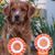 Rae Ann Hess Scherr's profile image
