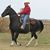 Butch Racca's profile image