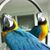 Byron V. Pepitone's profile image