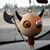 Chris Comstock's profile image