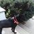 Lisa Marcum's profile image