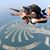 Jawad S. Ahmed's profile image