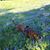 Debbie Taylor Lindsey's profile image