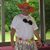 Rick Jones's profile image