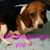 Connie Kanakanake Cannaday's profile image