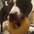 Lindsay Calicott's profile image