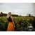 Katie Eckberg's profile image