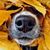 Kim Gauvin Liddle's profile image