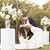 Kt Maria Dewese's profile image