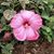 Carla Pearson's profile image