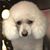 Doug Walker's profile image