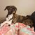 Kassie Lepp's profile image