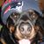 Dawn DeGagne's profile image