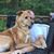 Brian Cargile II's profile image