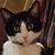 Brandy Ciesielski's profile image