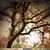 Daphne Arrington's profile image