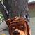 Stephanie Smith's profile image
