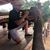 Rivera Cidely Christian's profile image