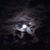 Ricky Rowlan's profile image