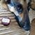 Debbi Doty's profile image