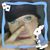 Hannah Rae's profile image