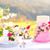 Pamela Sue's profile image