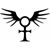 Kathy Meyer Watkins's profile image