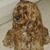 Linda Haluschak Hayducky's profile image