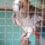 Ashraf Ali's profile image