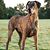 Kenneth Brown's profile image
