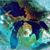 Dawn Widman's profile image