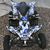 Steve Brauer's profile image