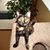 Donna Gilbert Bruno's profile image