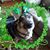 Annamarie Jones's profile image