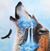 Richard Lambright's profile image