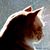 Jackie Kerska's profile image