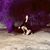 Cheyenne Abernathy's profile image