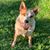 Janet Holtman's profile image