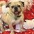 Ellen McNail's profile image